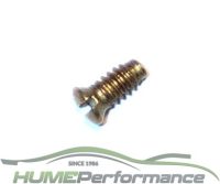 H01 Choke Shaft Screw