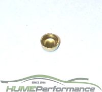 H04 Brass Well Plug