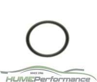 H07 450 Needle & Seat Access Plug Gaskets