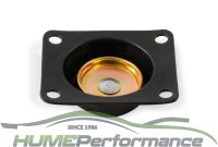 H56 50cc Accelerator Pump Diaphragm