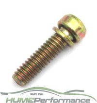 HP21-79 Throttle body screw (12-24 x 13/16"L)