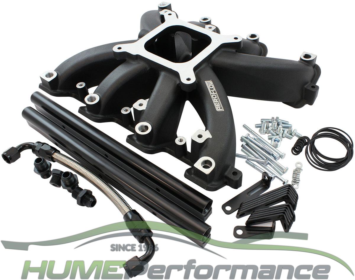 GM LS Cathedral Port Carburettor Street Single Plane EFI Intake Manifold, Black Finish